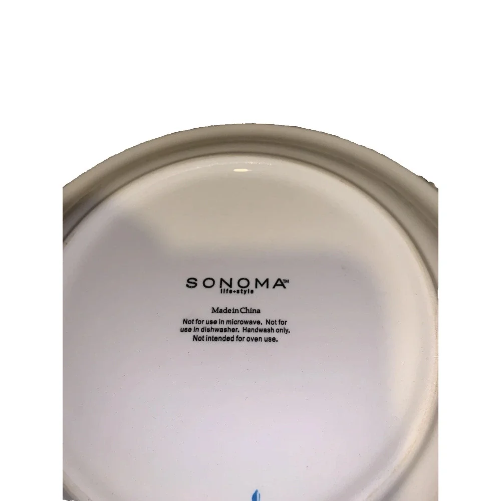 Sonoma Set of 4 Lifestyle Painted Fruit Pattern Ceramic Salad Plates, Pre-owned